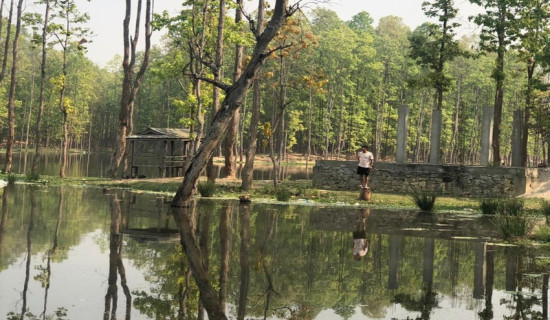 १३ बिघा जग्गा अतिक्रमणले मत्स्यकेन्द्र संकटमा