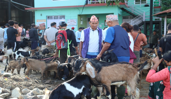 ऐतिहासिक भीमसेनस्थान