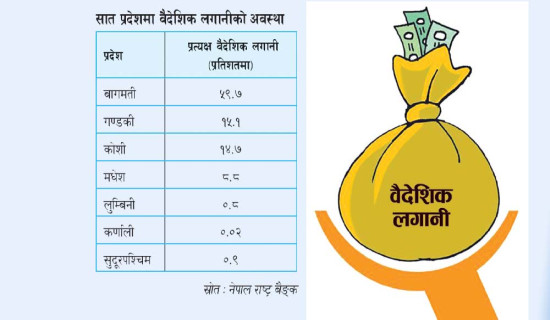 उनन्साठी प्रतिशत वैदेशिक लगानी औद्योगिक क्षेत्रमा