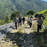 झाडाबाट थप दुई जनाको मृत्यु