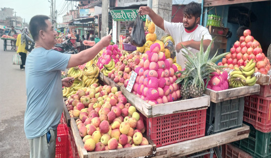 जुम्ली स्याउको भाउ घट्याे