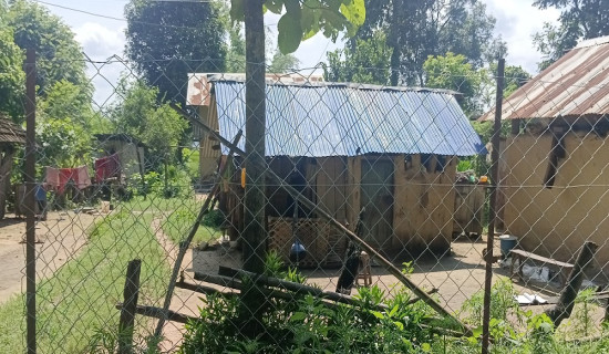 मानव वन्यजन्तु द्वन्द्व रोक्न तारजाली, चार सय घरधुरी लाभान्वित