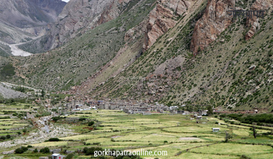 लिमी गाउँ