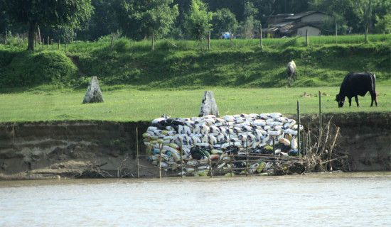 सीमास्तम्भ सुरक्षित गर्न आग्रह