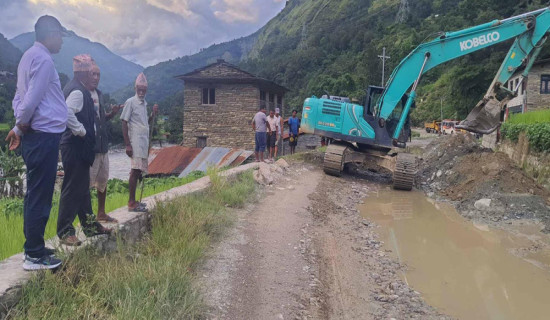 सन्दर्भ संविधान दिवस : दलहरू संशोधनको गृहकार्यमा