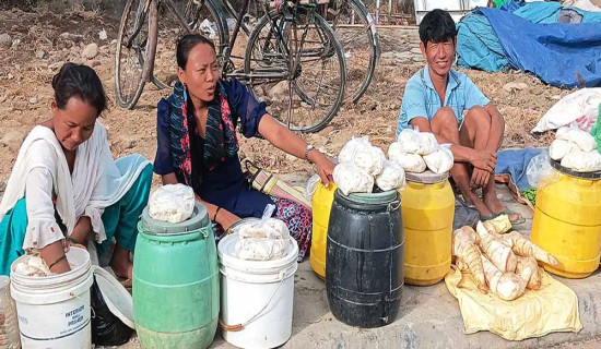 वैदेशिक रोजगारीको एघार महिना, विदेश जाने झण्डै सात लाख