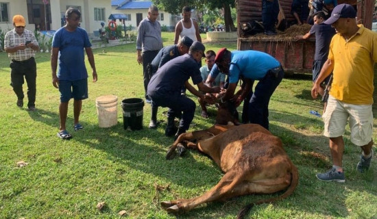 बाँकेको रक्तसञ्चार केन्द्रमा रगत अभाव