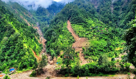 जैविक विविधता क्षतिबारे न अध्ययन, न तथ्याङ्क