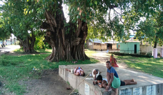 बरपिपल चौतारी सामाजिक कार्यस्थल पनि