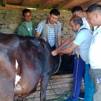 नाङ्लो रेस्टुरेन्टमा आगलागी