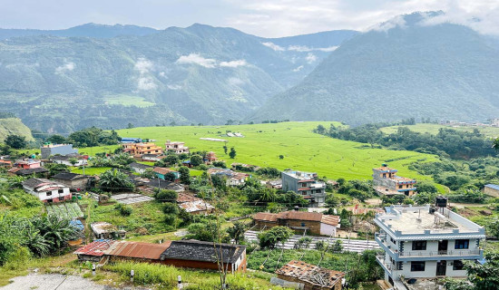 लोपोन्मुख गिद्ध संरक्षणमा चासो