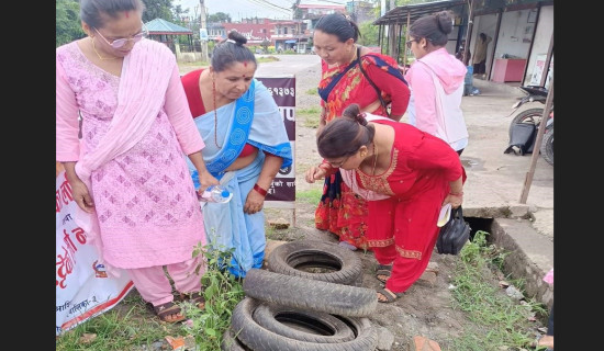 पुल नबन्दा सडक प्रयोगविहीन