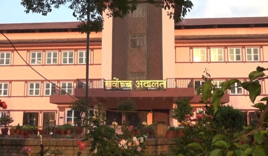 ‘प्राधिकरण विभाजन अनिवार्य सर्त होइन’