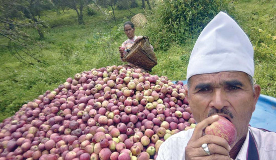 झिमरुक फाँटमा रातारात मोटरबाटो