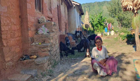 आधारभूत सुविधा नहुँदा बस्ती रित्तिँदै