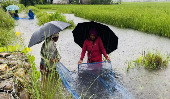 यस्तो छ सरकारको साझा सङ्कल्प तथा नीतिगत प्रतिबद्धता (विस्तृत)