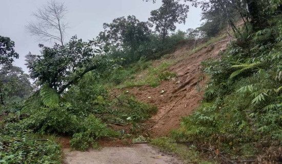 स्कुल र बस्तीबीच जग्गाको झ्याउलो