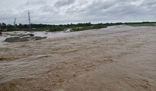 बजारमा कुहिएको माछा विक्री वितरण