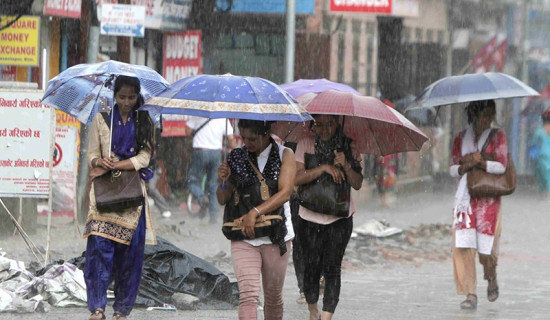 ताप्लेजुङ (ख) मा कांग्रेसका हाङ्गामा निर्वाचित