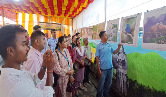 जैविक विविधता पर्या-पर्यटन सम्बन्धी चित्रकला प्रदर्शनी