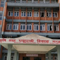 समाजमा आमूल रूपान्तरण गर्ने पार्टी आवश्यक छ : नेता खनाल