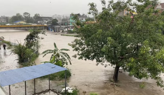 यी हुन् प्रतिनिधि सभामा विजयी भएका १६५ सांसद