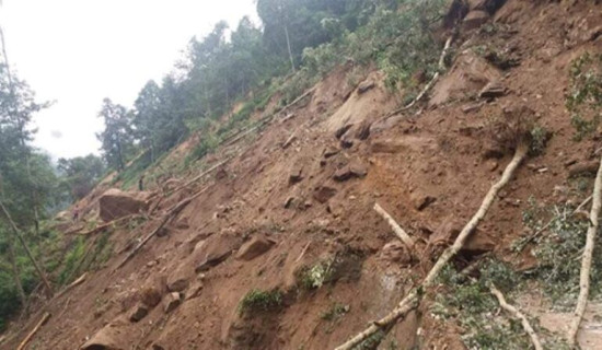 ओडारमा ओत लागेका दुई चेपाङसहित तीनजना बेपत्ता