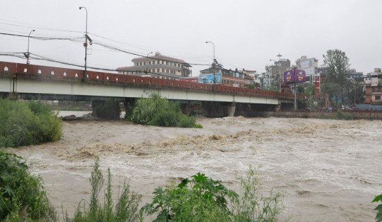 उखु र दुध किसानको बक्यौता तिर्न दुई अर्ब निकासा