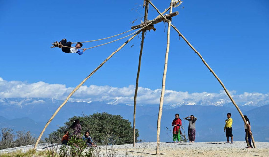 तनहुँमा एक वर्षमा सात सय ७१ उद्योग दर्ता