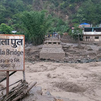 दाउरा खोज्न ह्विलचेयरसँगै जङ्गल पस्छन टीकाराम