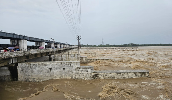 दाउरा खोज्न ह्विलचेयरसँगै जङ्गल पस्छन टीकाराम