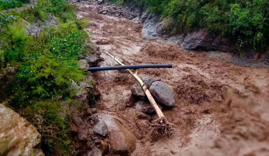 आयोगको सिफारिस कार्यान्वयन भएन : अध्यक्ष मगर