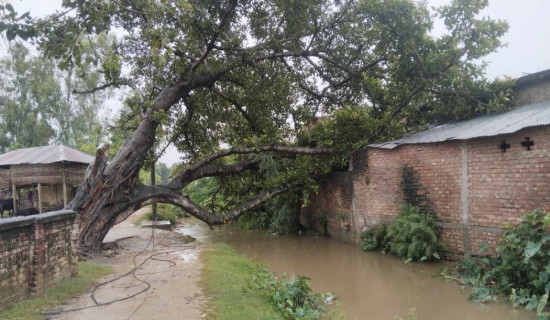 गोलिया ओसारपसारमा रोक