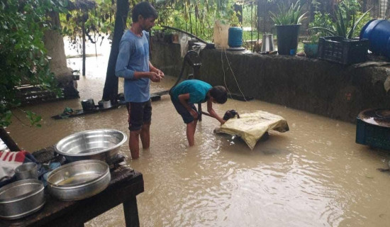 बाँध भत्काएर सुस्तामा पस्यो नारायणी