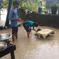 आठ सय कामदार इजरायल पठाइँदै