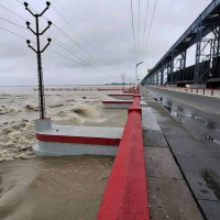 वर्षा नहुँदा अलैँचीका बोट सुक्न थाले