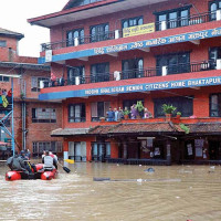 कोशीको भित्तो संरक्षण गरिँदै