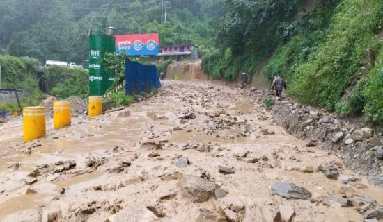 राष्ट्रपतिद्वारा  क्यानडा र पोर्चुगलका लागि राजदूत नियुक्त