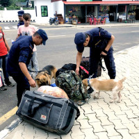 केबलकार निर्माण धमाधम