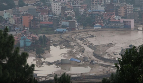 थानकोट  चित्लाङ  सडकखण्डको सेतो पहरामा जिप दुर्घटना