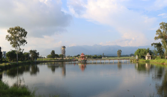 तुलसीपुरस्थित गौरीगाउँ ताल ओझेलमा