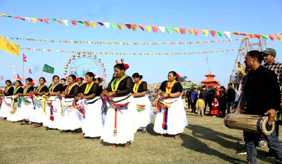 थारू बस्तीमा छैन सखियाको चहलपहल