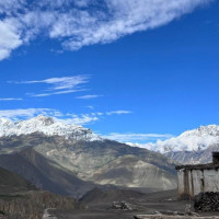 यातायात ठप्प, यात्रु अलपत्र