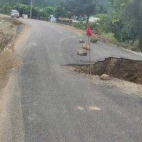 अनुदान बीउको धान नफलेपछि.....