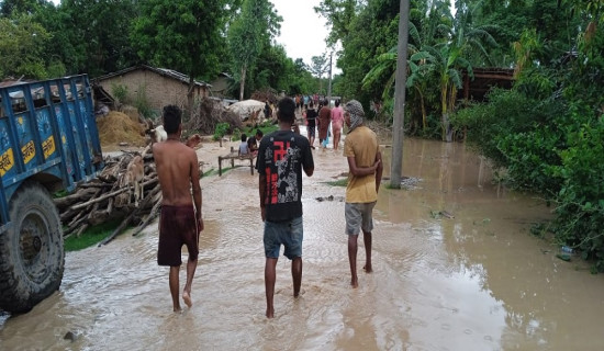 मधेश प्रदेशमा बाढीबाट ६ जनाको मृत्यु, ५६ लाखको क्षति