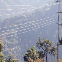 बाढीपहिरोमा परी मृत्यु हुनेको सङ्ख्या २०४ पुग्यो