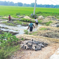 पोखरा जाँदै गरेको माइक्रोबस नुवाकोटमा दुर्घटना, १२ जना घाइते