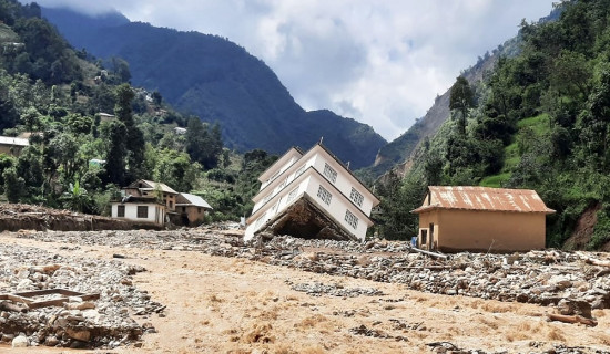 बाढीले जगसहित पल्टाएको घर