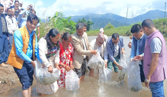 'हेलेन' आँधी :अमेरिकामा दुई सयभन्दा बढीको मृत्यु