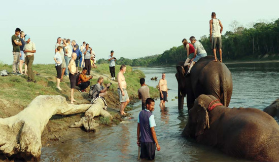 धनकुटामा तीन घर जलेर नष्ट